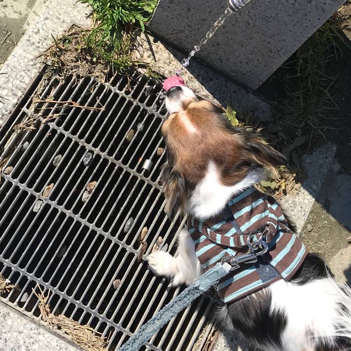 73c8807f c5cd 4d8c 9957 aacb83467f82 1552532126385