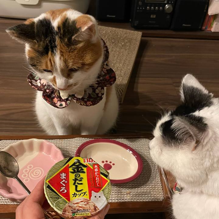 73c939bd 98f5 4721 a22b 1ef7f8995640 1735048207463