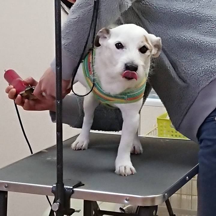 73c94181 3729 4d70 9099 86d11d699773 1547679839932