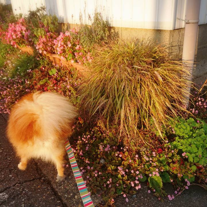 73c99a42 2e59 4bfa 9111 bb9ec170d5e2 1604097133356