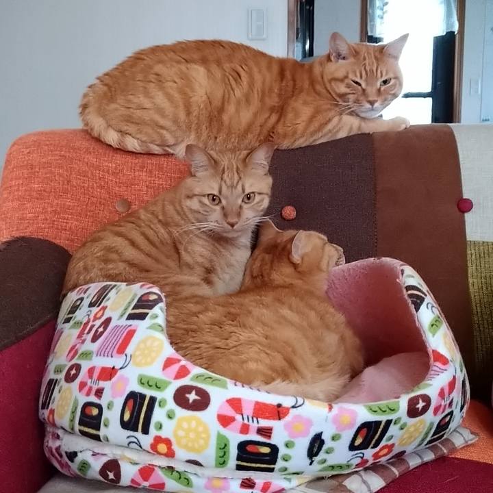 73c9b5a1 005e 4fcd b0be 3973820a248b 1583657817750