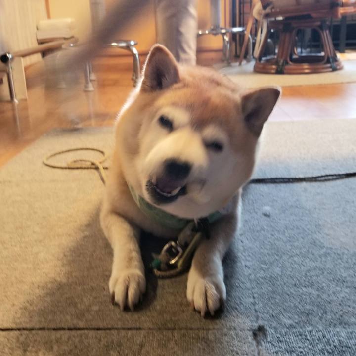 73c9ff44 dce5 4520 9d02 84c8ff005a53 1658218613642