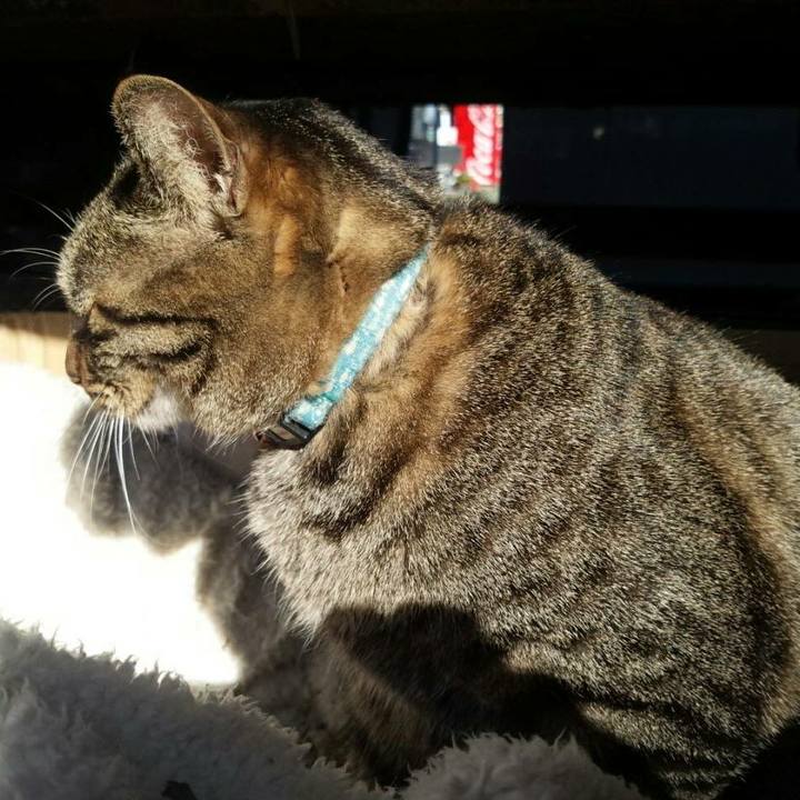 73ca0de6 f07c 43be 98c6 dc64c1023ef0 1511238668190