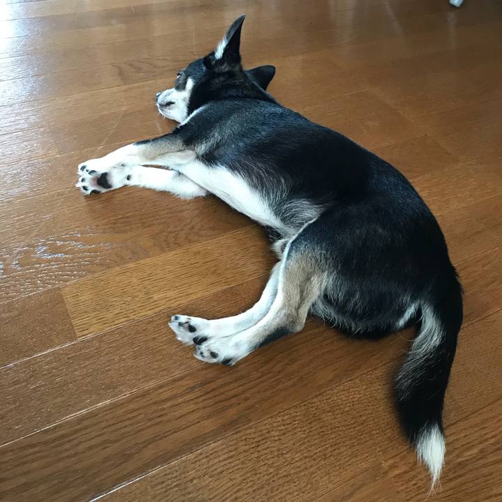 73ca2135 0c29 4a66 9c15 9a086eed4c64 1534201050438