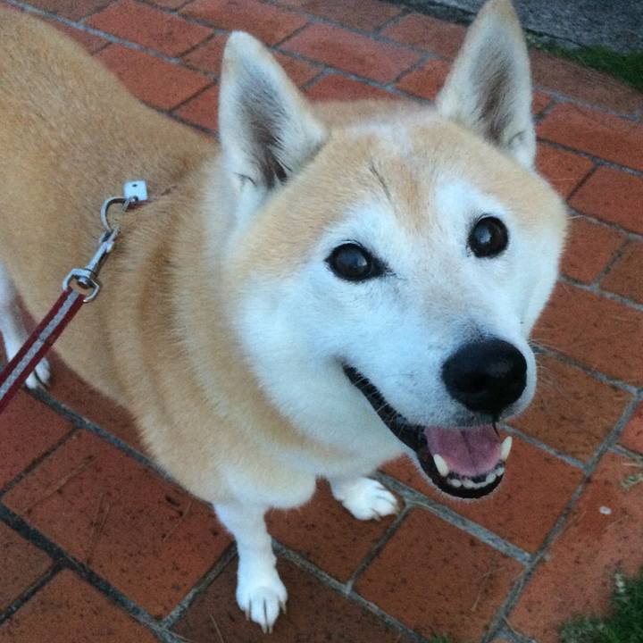 73ca33dd 2914 4e99 a8d1 278fc66e619a 1763965988479