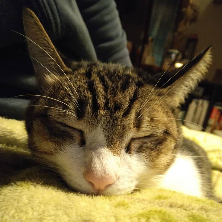 73ca652c 9456 42e7 b58e 7745ffb8c264 1666962378639