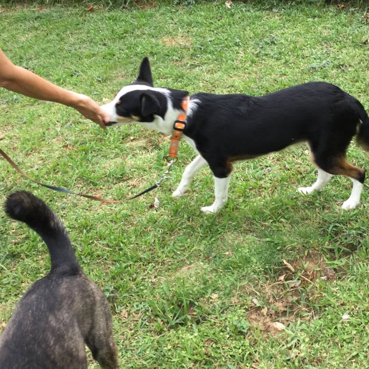 73ca7571 d547 42de a5d8 51e45ad3b883 1571460657965