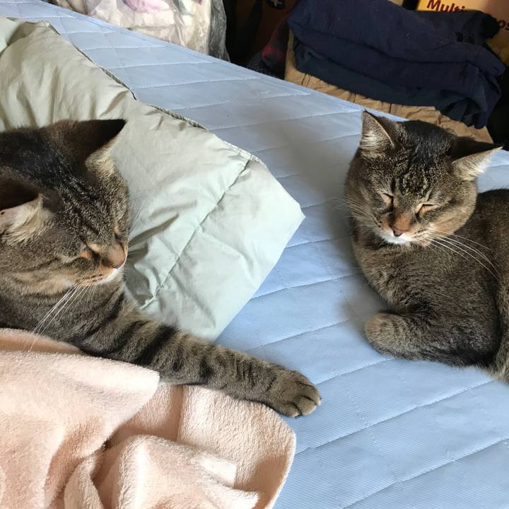 73ca7d3b 6d8f 46e9 ba72 c8f662f82610 1561269362525