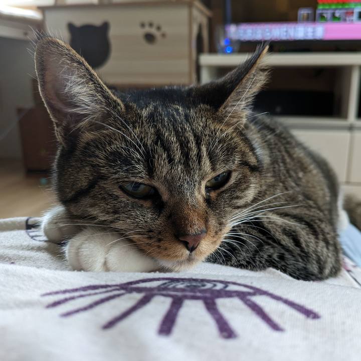 73caa59b 16ee 4e65 a482 1581145230e3 1690848555205