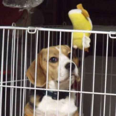 73cad360 a90e 40d1 a51a 9cf9849ad871 1715462572722