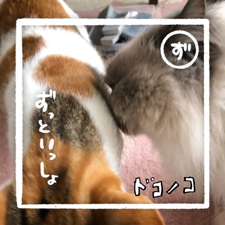 73cb0ec8 fc55 455f b230 e6d37e92f9cb 1686012180029