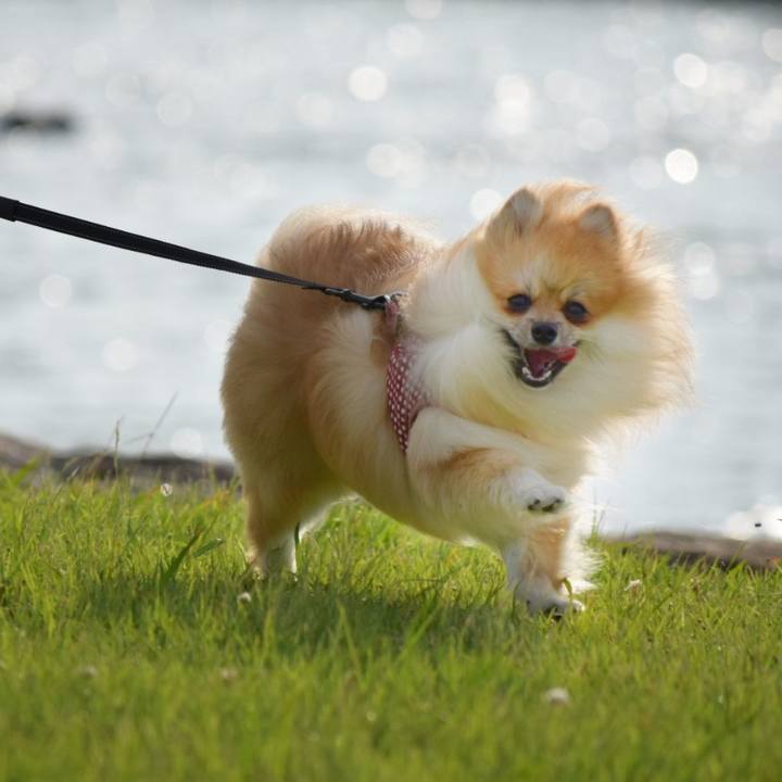 73cb2aaa 65bb 4fe5 be1f e1c66e533c72 1530275292666