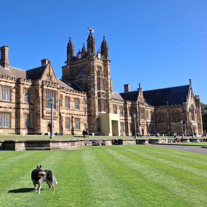 73cb34ae ac52 4f8c b12d 127a9656838e 1775963113984