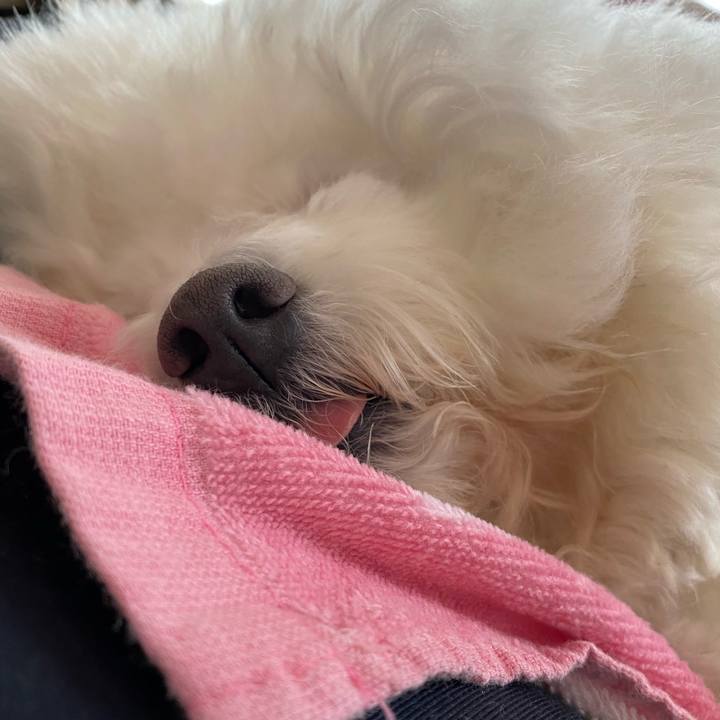 73cb5225 0009 4b0b 9f1f 70c53235ce93 1604385537843