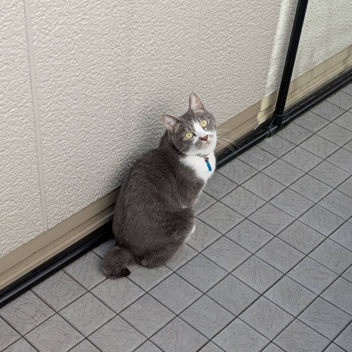 73cb52b4 be16 46da bfab b11430c5396c 1765076464536