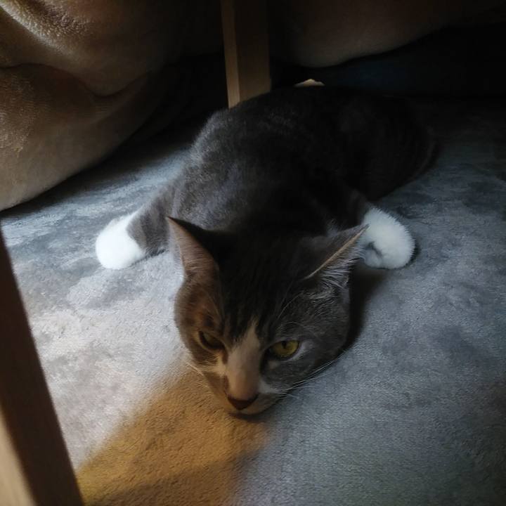 73cb6051 8eff 41cf af53 6d8f65ec6a9c 1588053808020