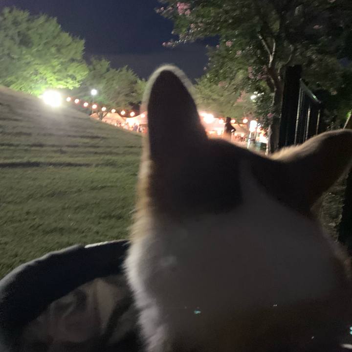 73cb7ade ce6c 46a0 b4e4 aac074411495 1693045387926