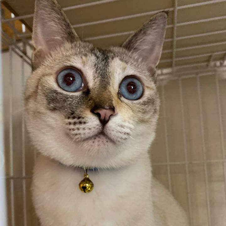 73cb7d0b 05d0 40fa 8c2a 93a784987ac2 1689495545690