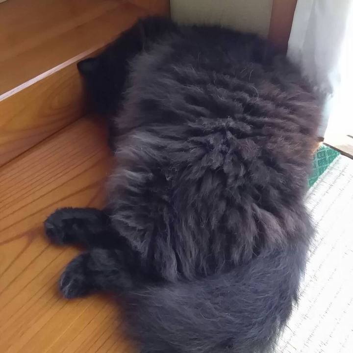 73cbeeca 29d3 4d74 a4e1 b32eb0fc76a7 1532932765374