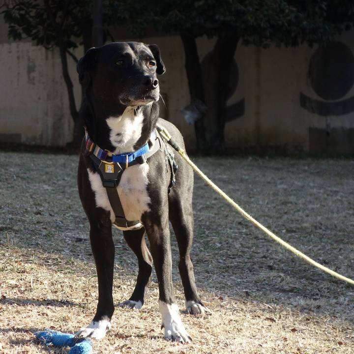 73cbff49 487a 4af4 8566 e1bf803ac26d 1646614154043