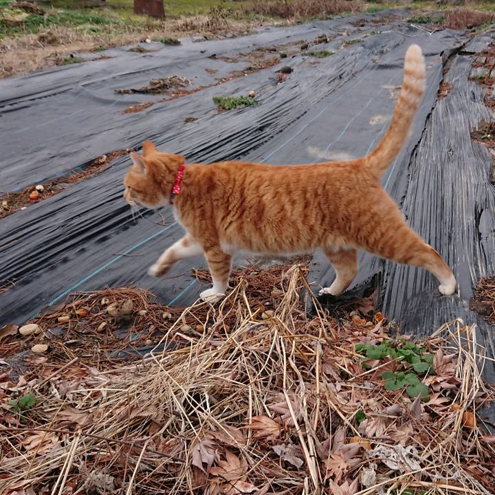 73cc54ec 05eb 4dfc aa30 254ebee93c30 1576995149479