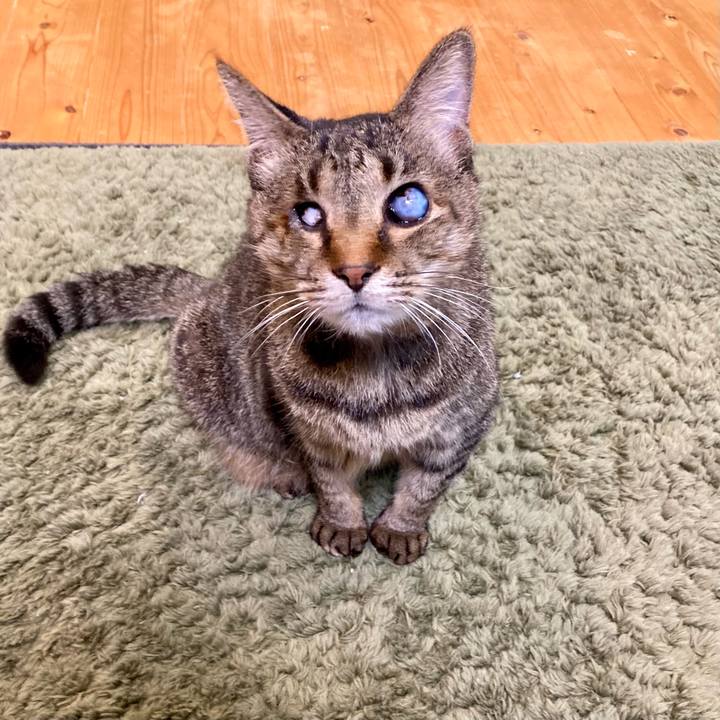 73cc8303 d0f9 44f3 a63c e13df910eca5 1671791462729