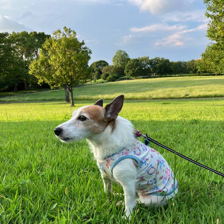 73ccb29f 1720 483c 9001 5f5ee35cc308 1694912803469