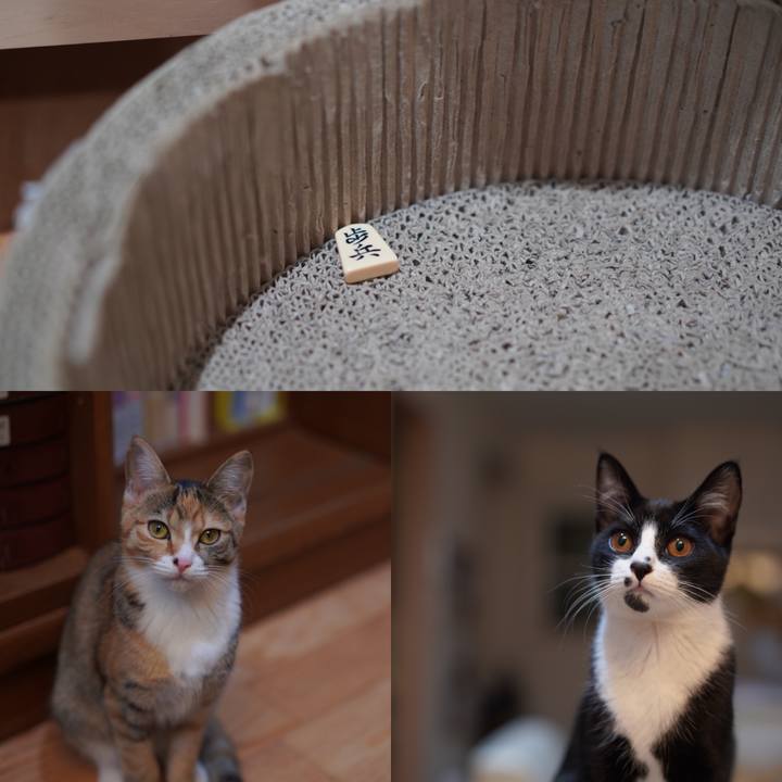 73ccb89d 0c81 4f96 95b7 91a215f54554 1577318952089