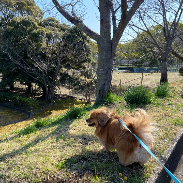 73ccc6cf 8ac4 4afe b5d8 2b21bb26882d 1615684206222