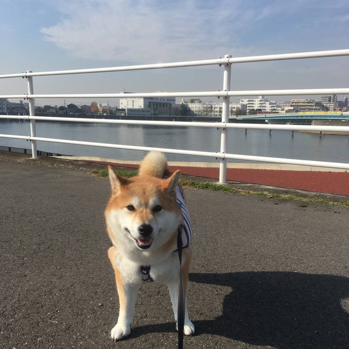 73ccc6db ea1e 4372 a9e9 cbbbbe30d4bc 1543896725841