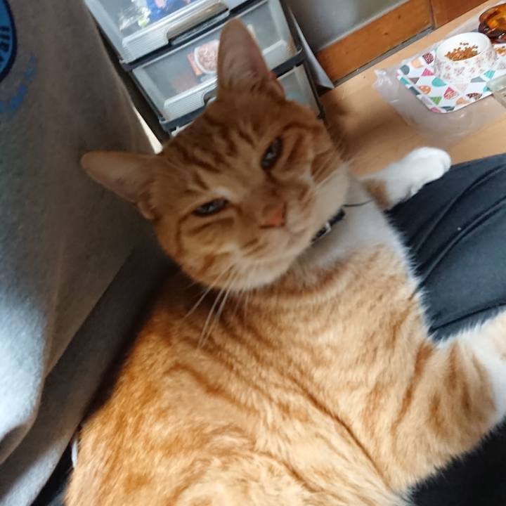 73ccd970 2d0d 41c0 9517 ed8aaf11fde8 1606246865286