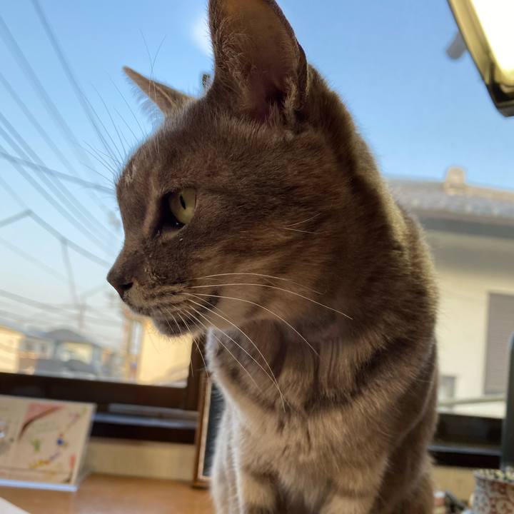 73cce274 5923 4a51 bda4 569219c16721 1616246088533