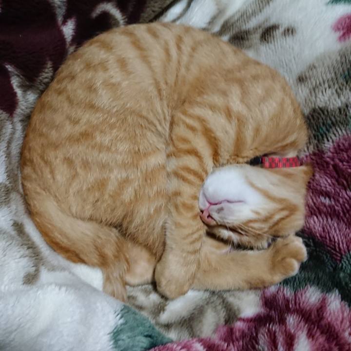 73cd18ff 5d26 4db3 a6ce 5cdbaa6a386b 1633869407517