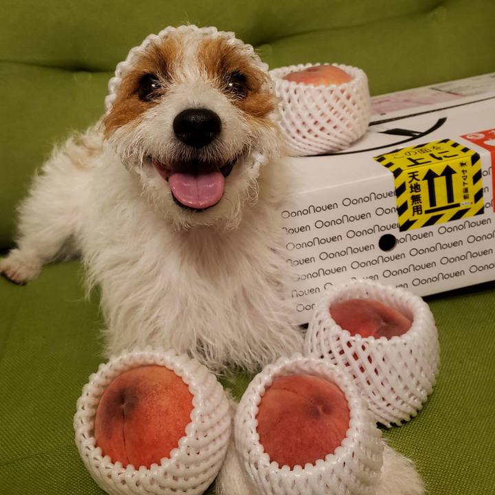 73cd2dd9 c6fe 4365 b36f e184e502d72d 1565787975762