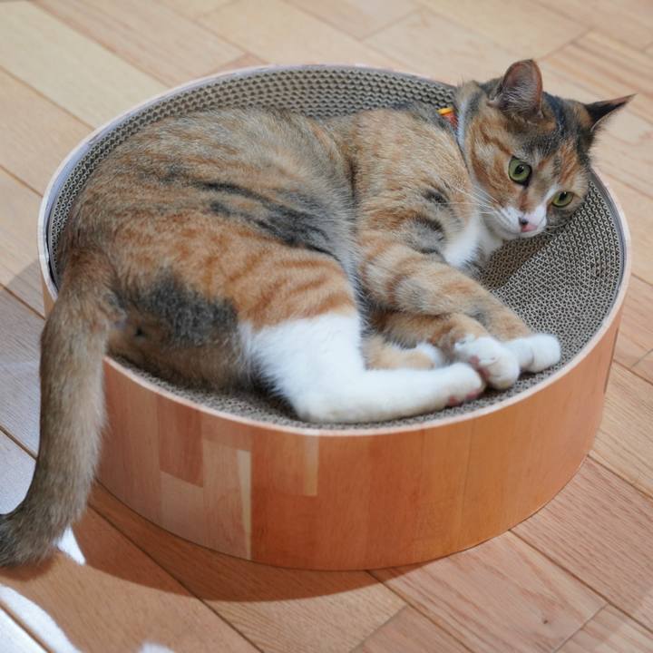 73cd376c e47d 46e3 8b9c 532ad54fbf1b 1623591173548