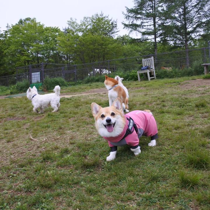 73cd3e86 f7e1 456b 8739 91abd7e7bc75 1685110551571