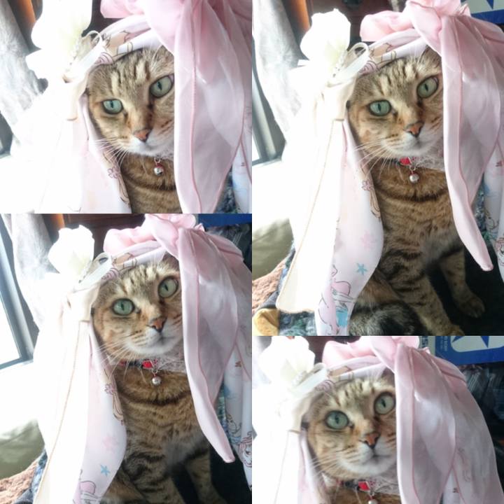 73cd464c 6fb9 4750 bec4 426f03c3dd49 1759880644436