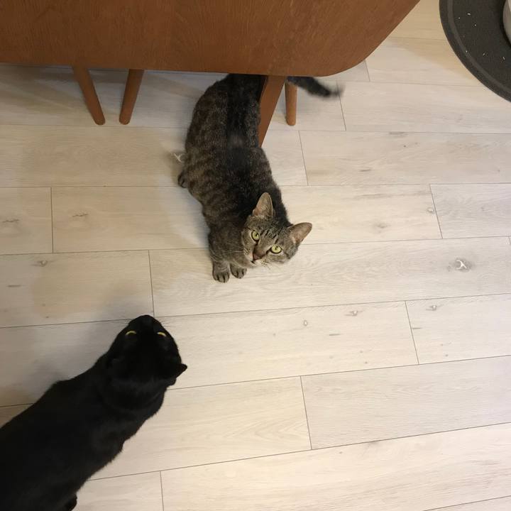 73cd4f28 f0bc 4f46 a0d6 c3e04bbc8575 1523671454055