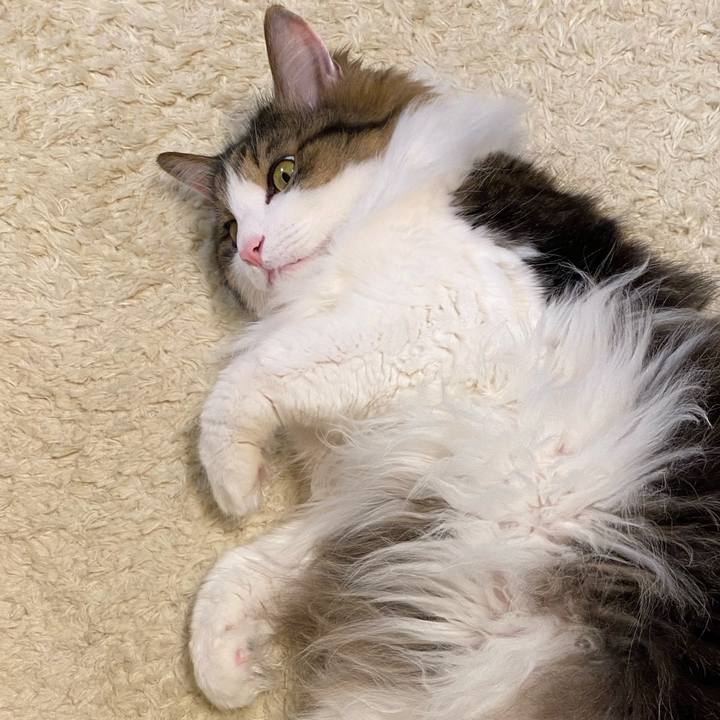 73cd5ee5 bfb2 44e7 904c 216d2b46761f 1671751258646