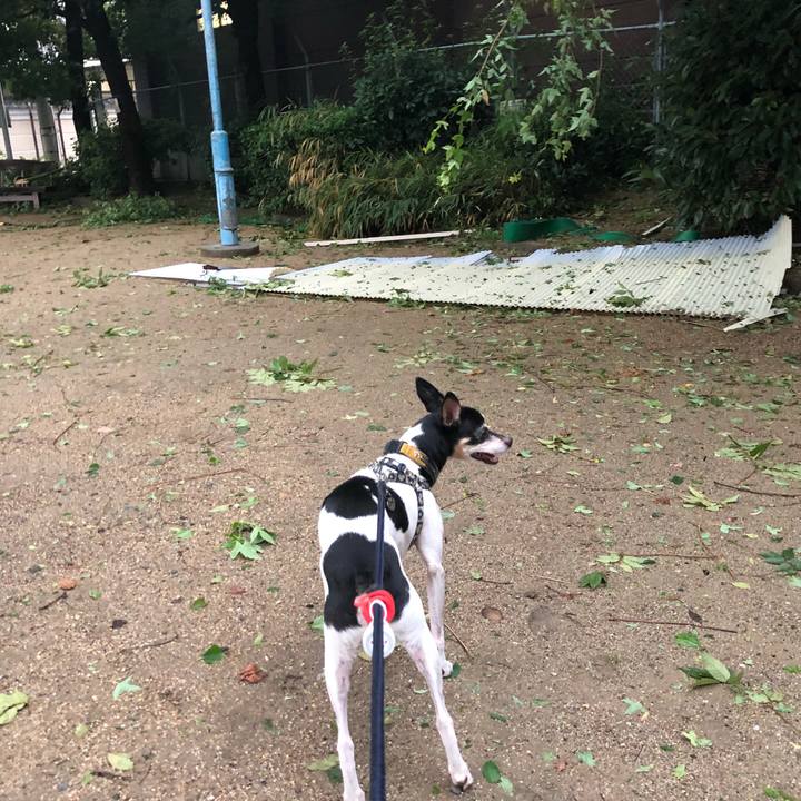 73cd7a2a 4d63 4f97 bdab 2faffe69176d 1536070646123