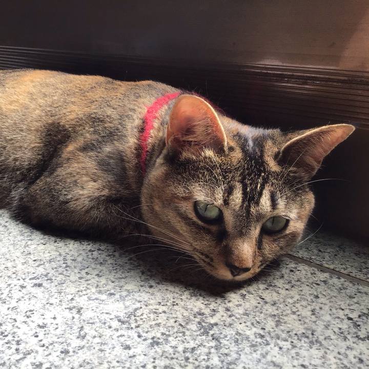 73cd80a0 f298 4d5c 8c8a d5b6be3e8891 1599816793572