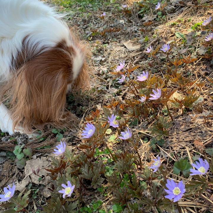 73cd848d 8e00 4a5a 809c 5af671118ac1 1617422414761