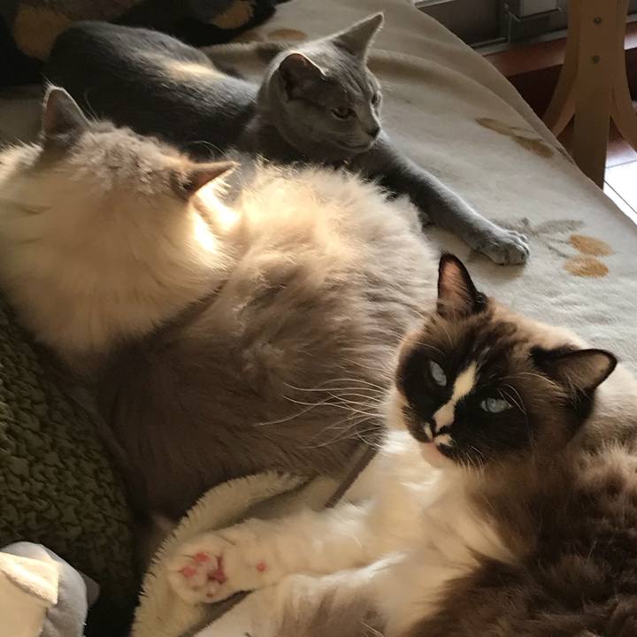 73cda3e8 4920 4257 a125 ee60694fa176 1517238894752