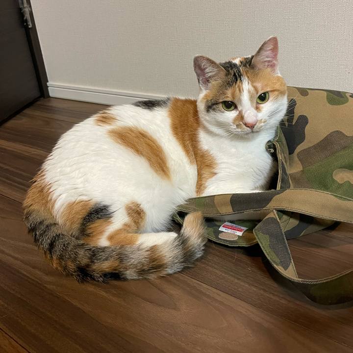 73cdc3a5 b9ac 4d34 b5d6 7c2540397452 1654338261941