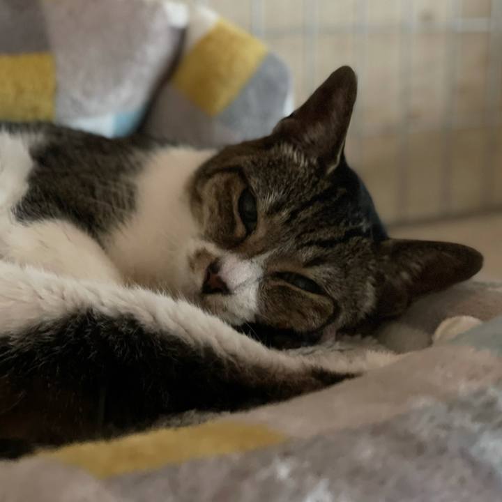 73cdceae d1e2 4a64 ac86 eb919fc09eed 1626053556078