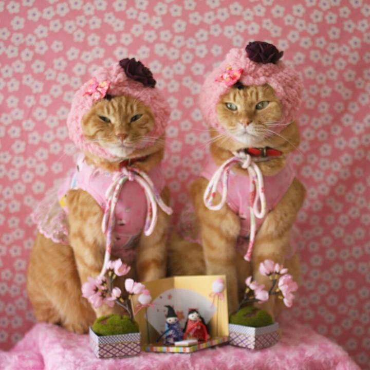 73cde6d2 421a 4710 81aa f1e0f764e95c 1520090513492