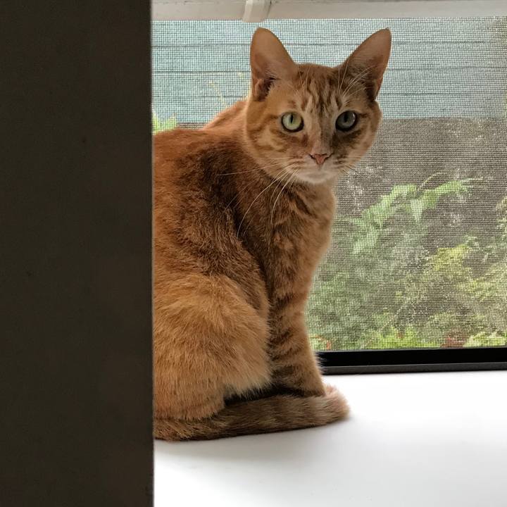 73ce08e0 8eb9 4869 b3c1 6d80b56963d8 1530859227939