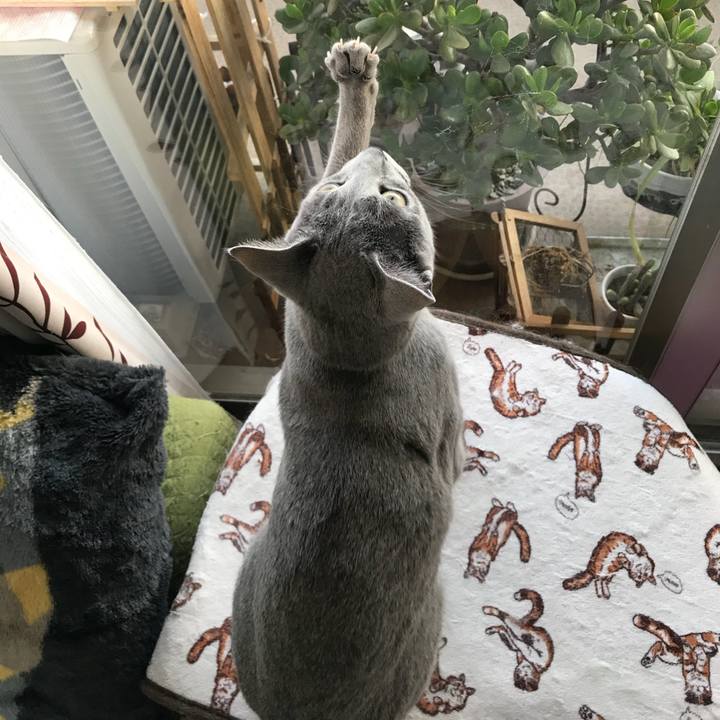 73ce0f18 a7b1 4908 a7d4 ae30855d64b5 1522746917488