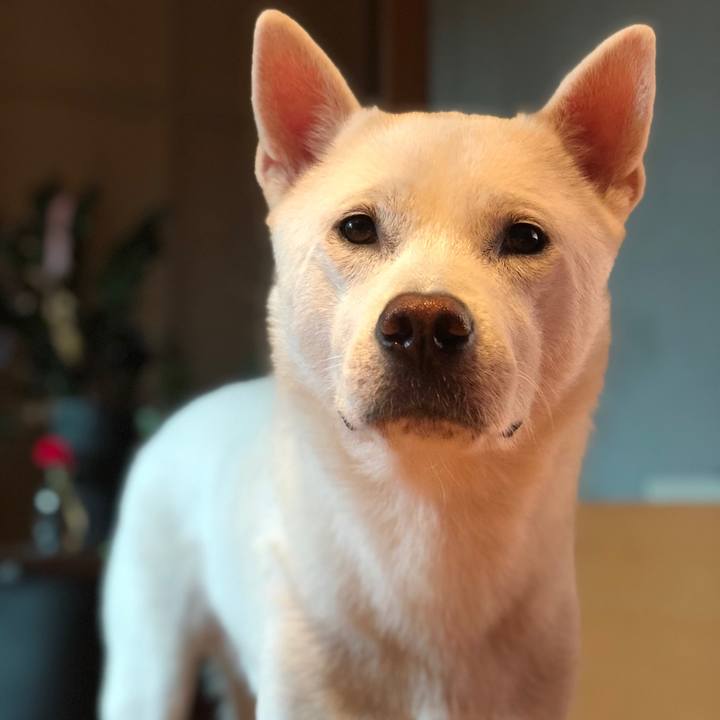 73ce1ac0 79bf 43cd bb65 5d8e1ae3a36e 1600259591283