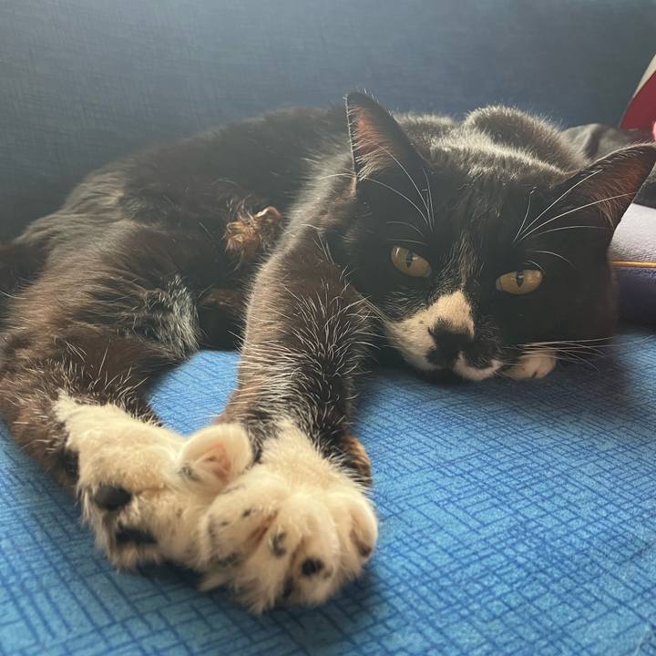 73ce714e 782c 4a02 a02c 52d529729b0d 1715917447732